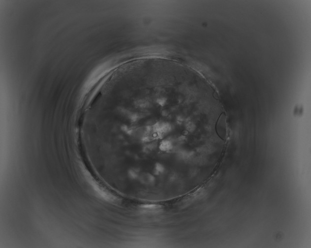 X0000093580053200710221511