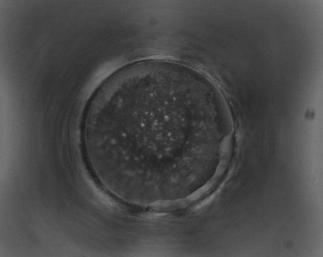 X0000093580055200710221511