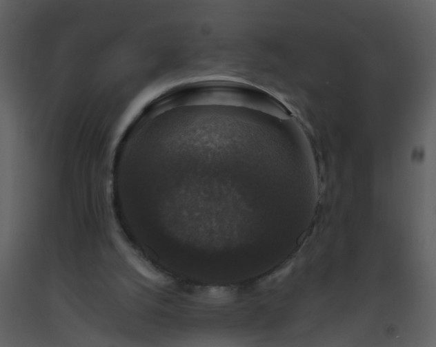 X0000093580056200710221511