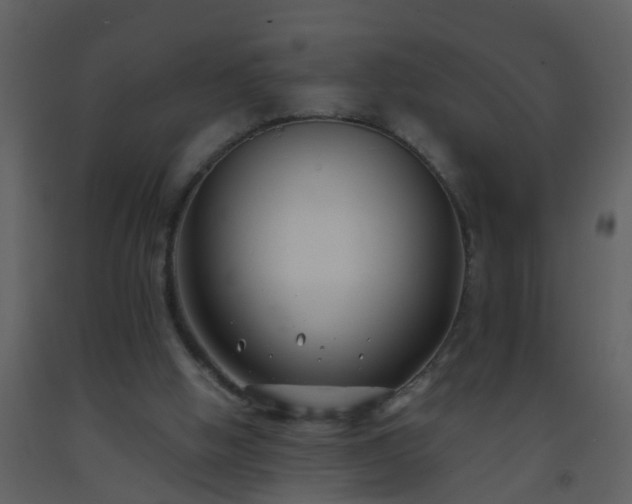 X0000093580058200710221511