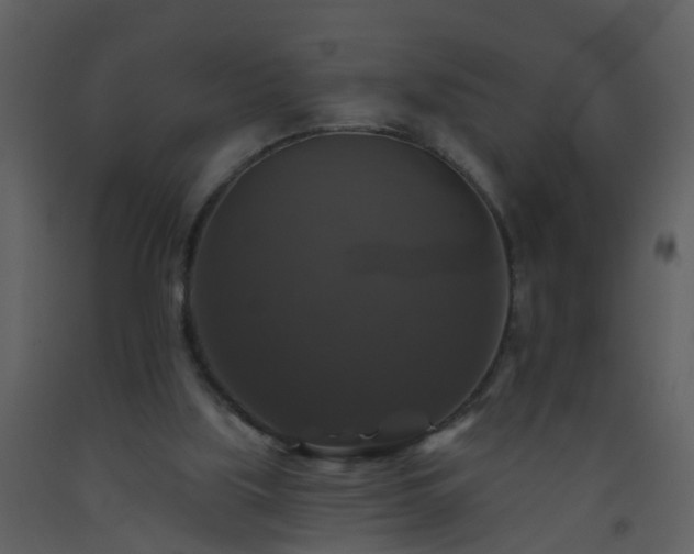 X0000093580059200710221511