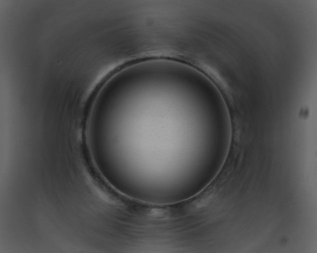 X0000093580060200710221511