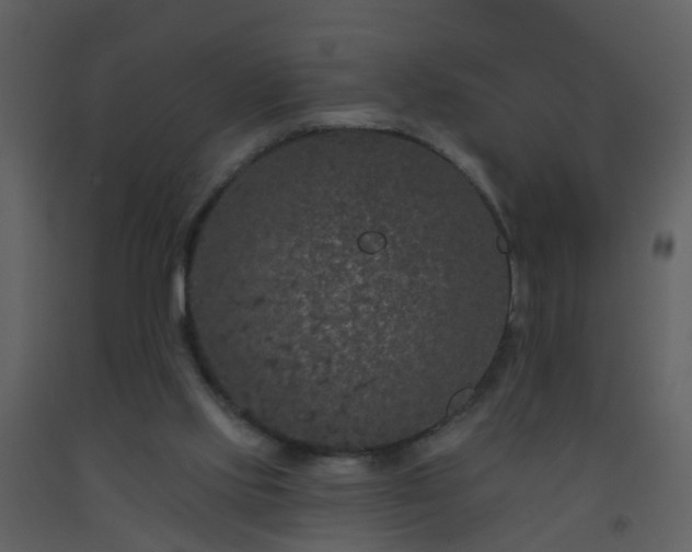 X0000093580061200710221511