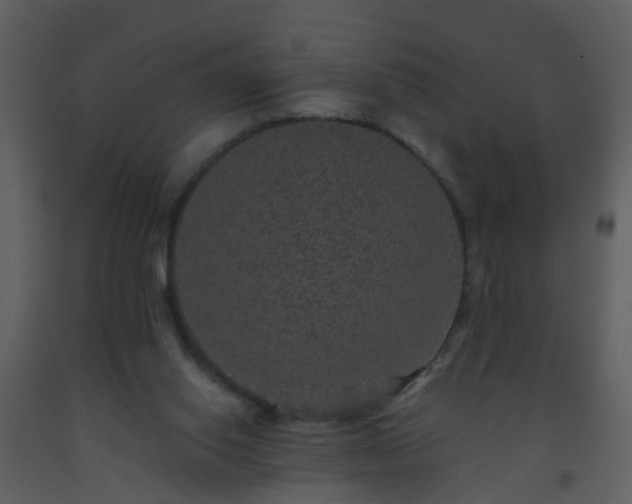 X0000093580062200710221511