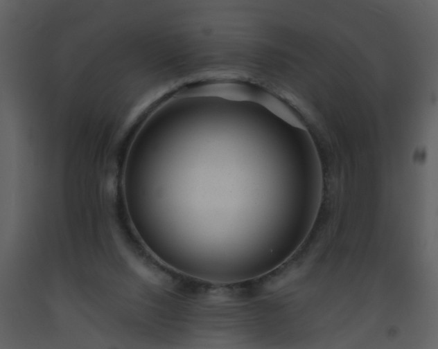 X0000093580064200710221511