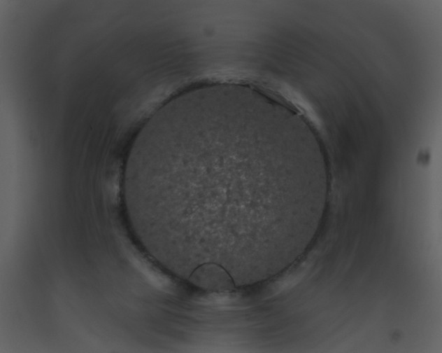 X0000093580065200710221511