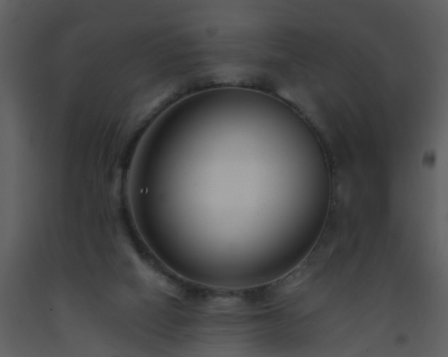 X0000093580066200710221511