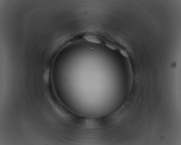 X0000093580070200710221511
