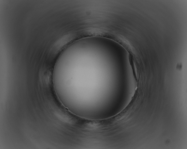 X0000093580071200710221511