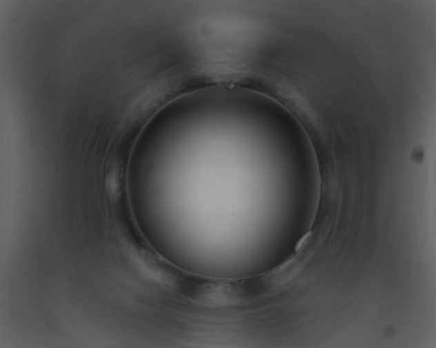 X0000093580074200710221511