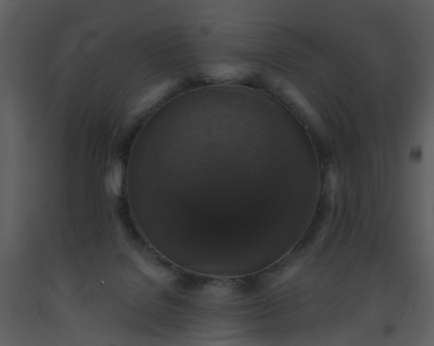 X0000093580076200710221512