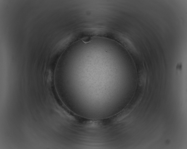 X0000093580077200710221512
