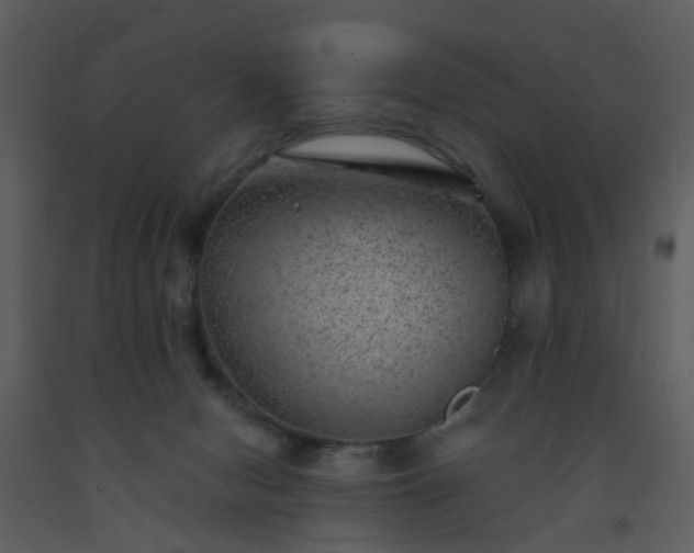 X0000093580078200710221512