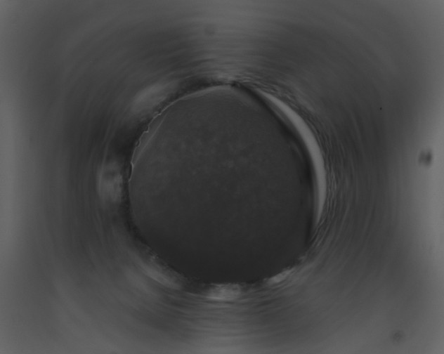 X0000093580080200710221512