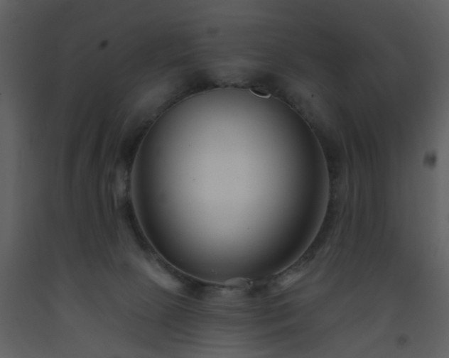 X0000093580081200710221512