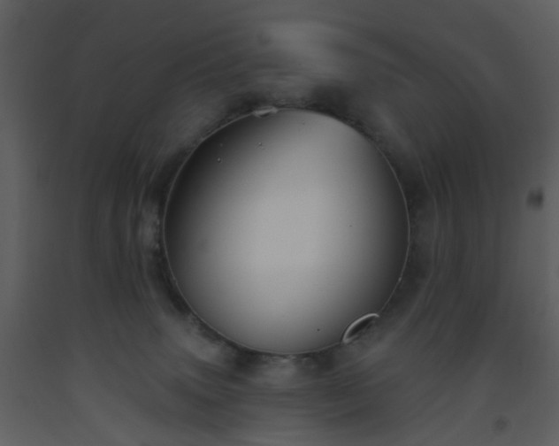 X0000093580083200710221512