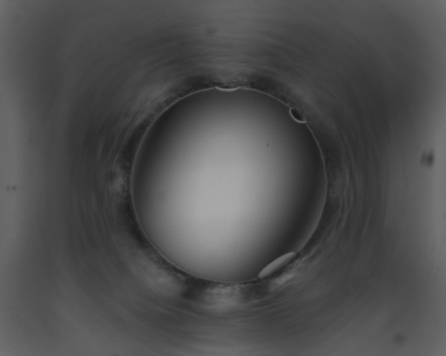 X0000093580084200710221512