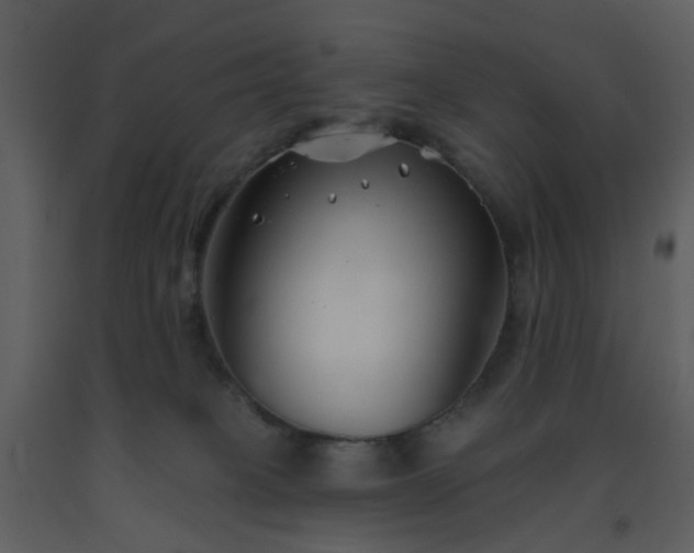 X0000093580085200710221512
