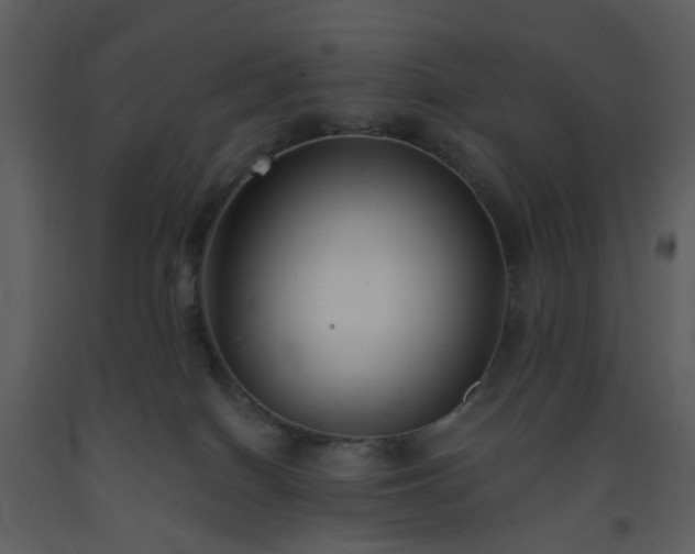 X0000093580086200710221512