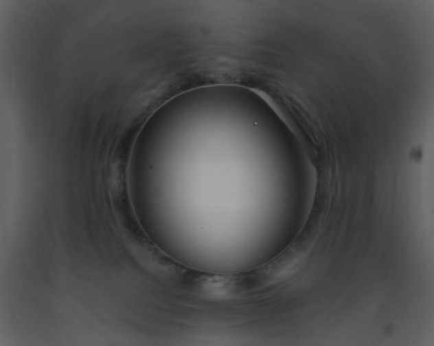 X0000093580088200710221512