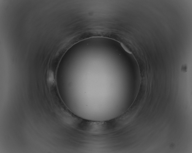 X0000093580089200710221512
