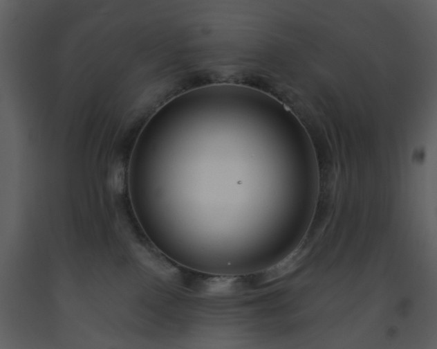 X0000093580090200710221512