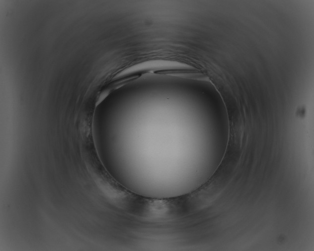 X0000093580091200710221512