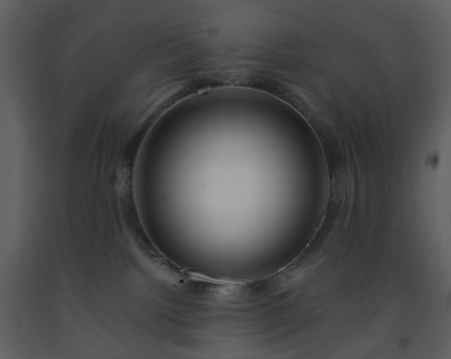 X0000093580092200710221512