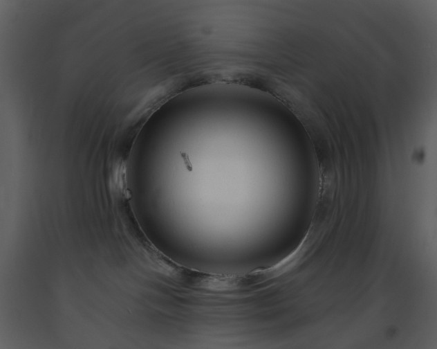 X0000093580094200710221512