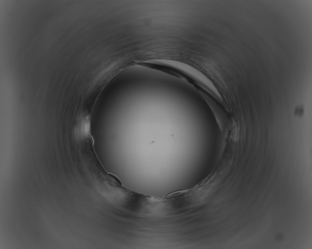 X0000093580095200710221512