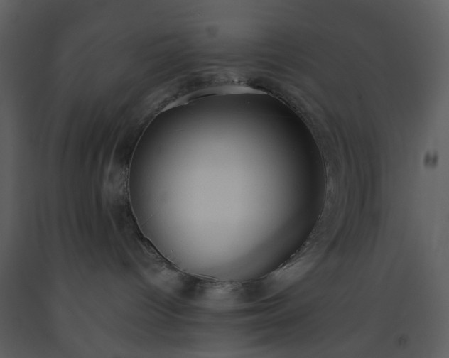 X0000093580096200710221512