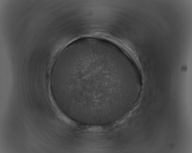 X0000093580097200710221511