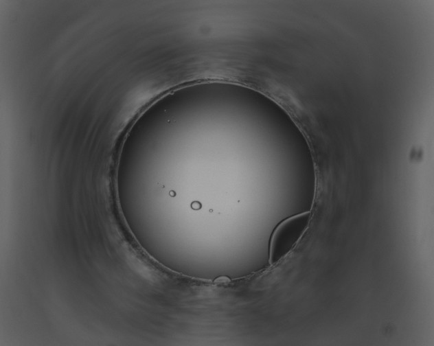 X0000093580098200710221511