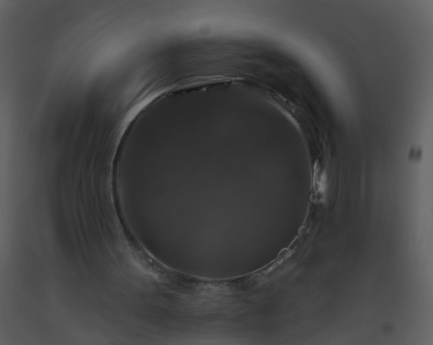 X0000093580099200710221511