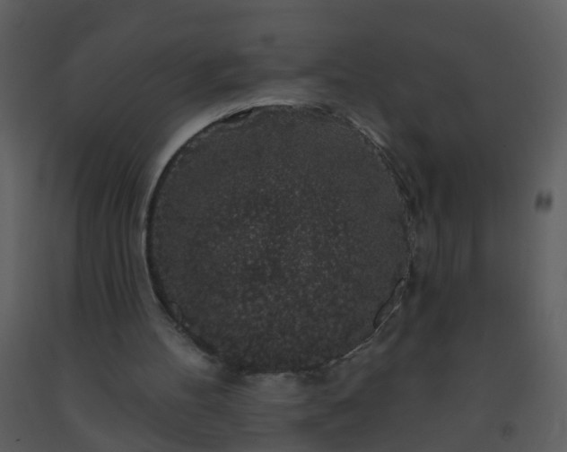 X0000093580100200710221511
