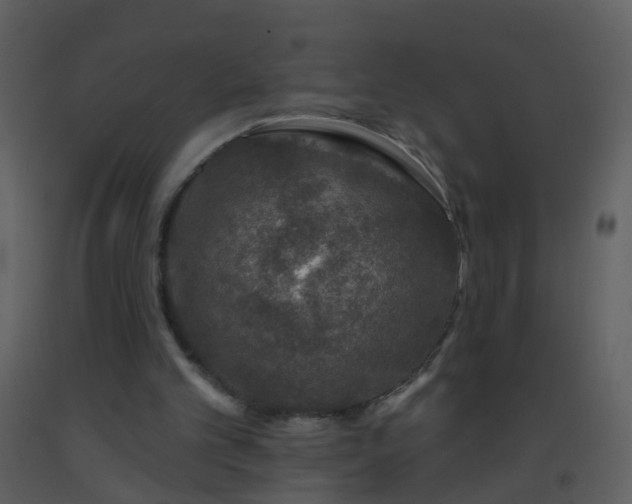 X0000093580101200710221511