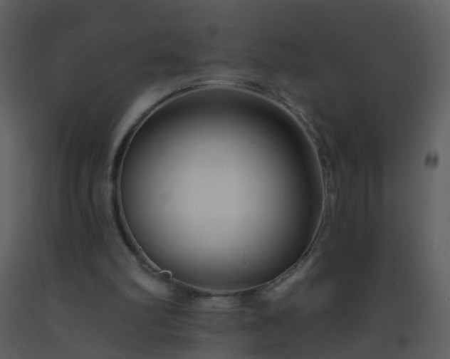 X0000093580102200710221511