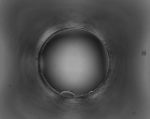 X0000093580103200710221511
