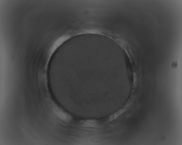 X0000093580104200710221511