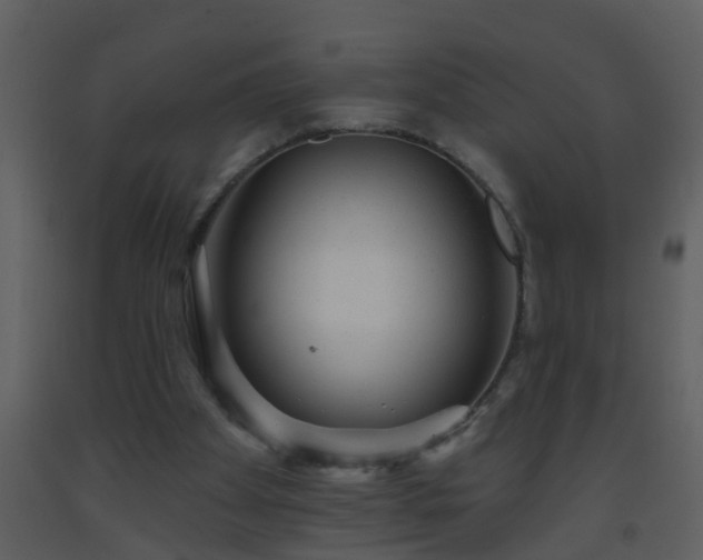X0000093580105200710221511