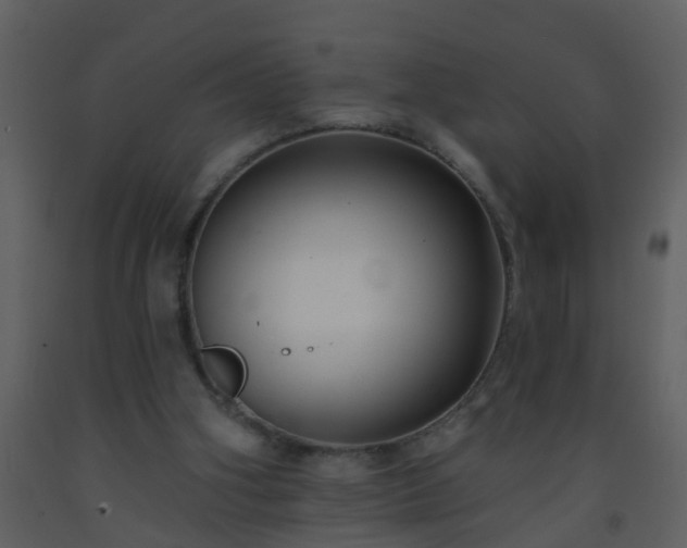 X0000093580106200710221511