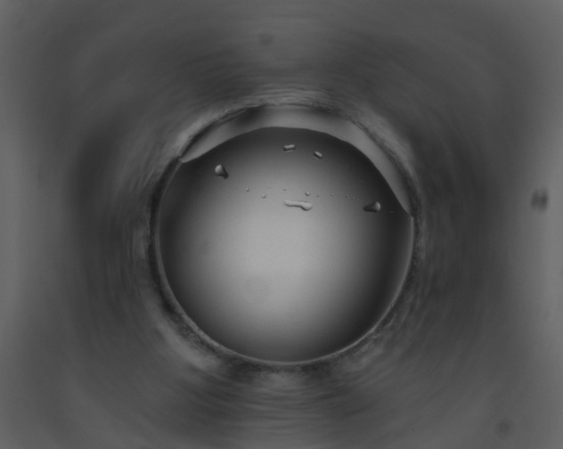 X0000093580107200710221511