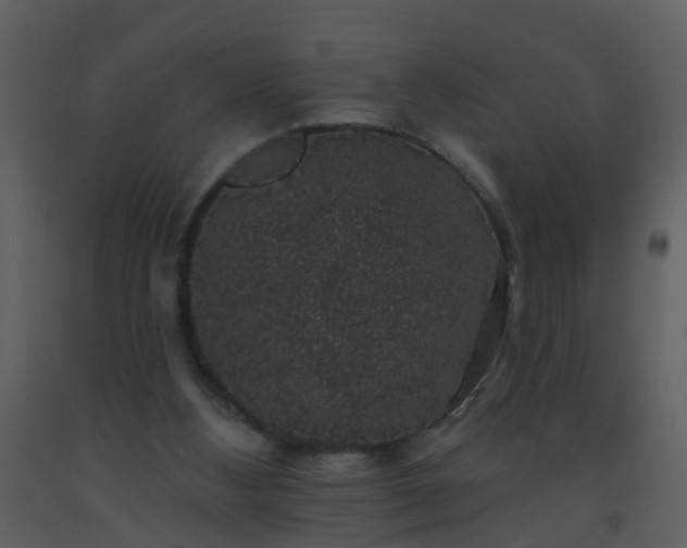 X0000093580108200710221511
