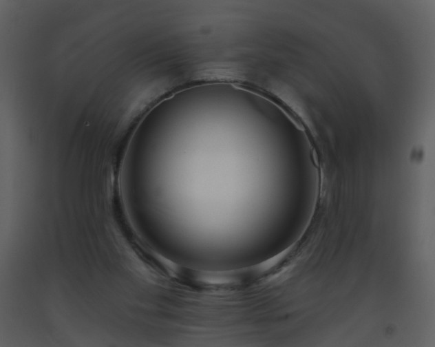 X0000093580109200710221511
