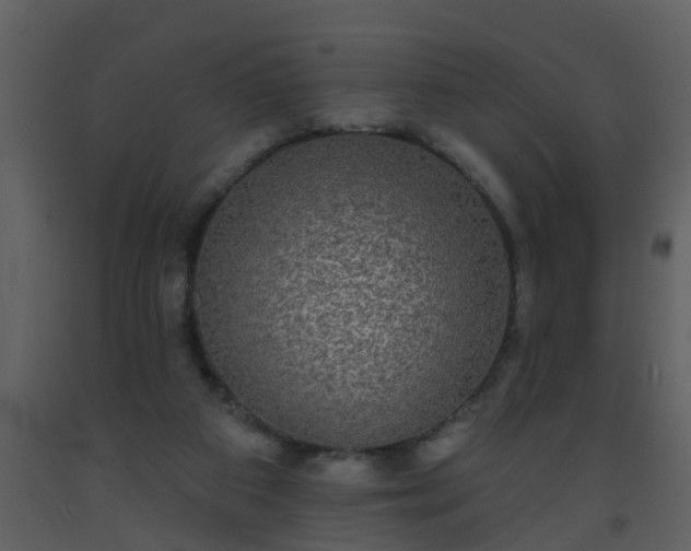 X0000093580113200710221511