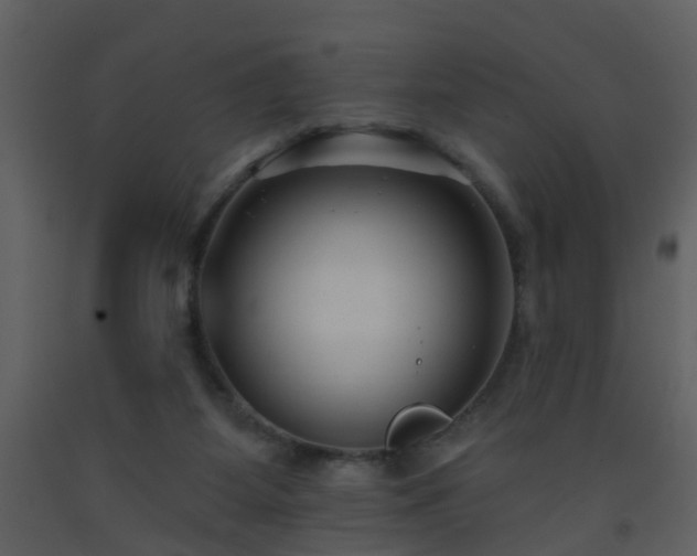 X0000093580115200710221511