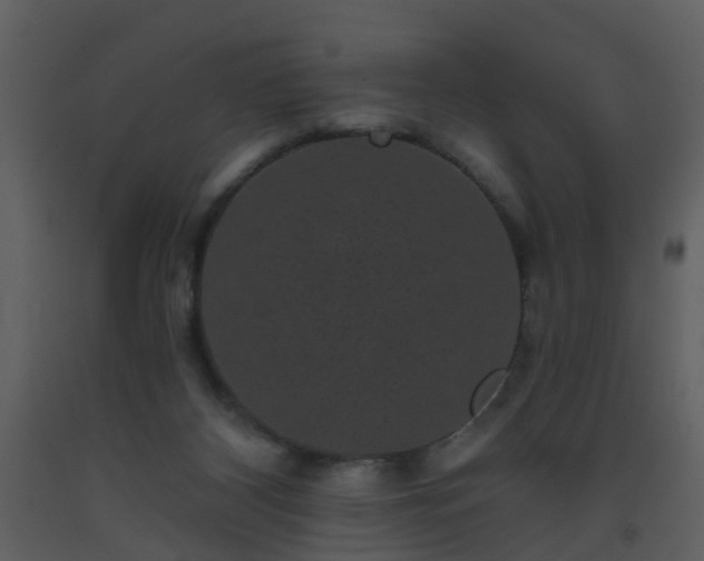 X0000093580116200710221511