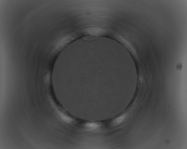 X0000093580117200710221511