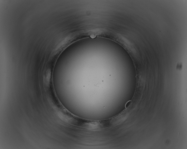 X0000093580118200710221511