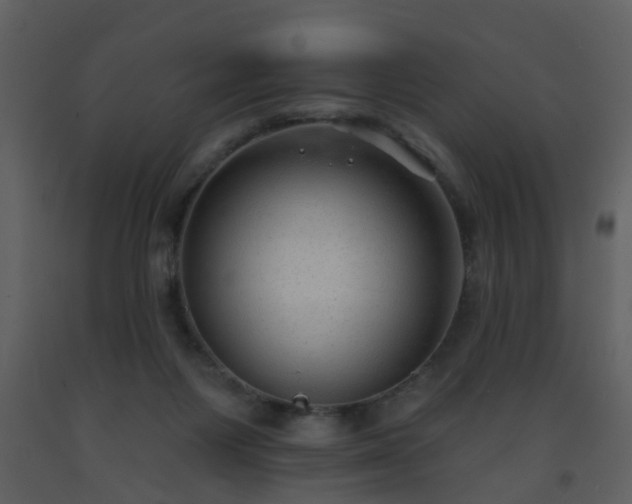 X0000093580119200710221511